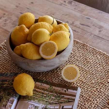 빌라 Vicent Rafal *