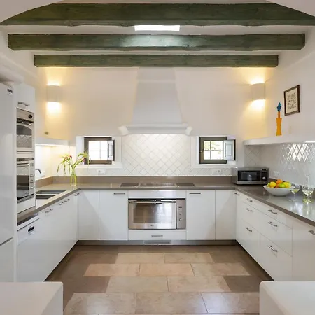 Vicent Rafal Willa *