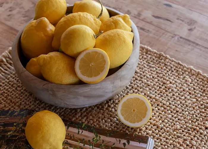 Villa Vicent Rafal *